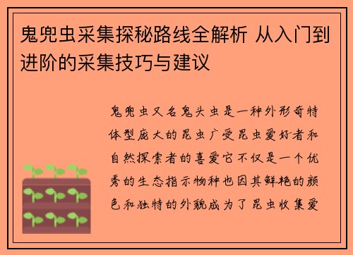 鬼兜虫采集探秘路线全解析 从入门到进阶的采集技巧与建议